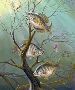 Crappie Fishes Diamond Painting