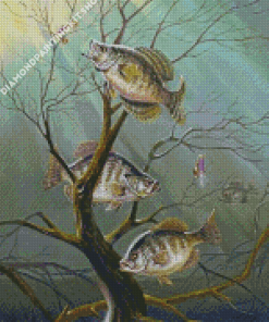 Crappie Fishes Diamond Painting