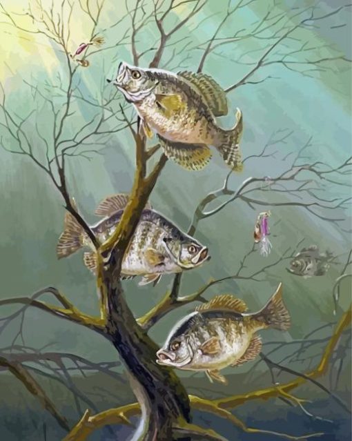 Crappie Fishes Diamond Painting