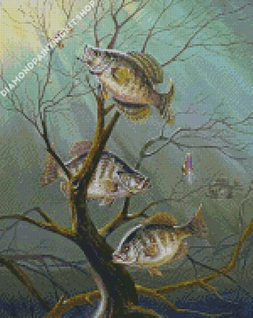 Crappie Fishes Diamond Painting