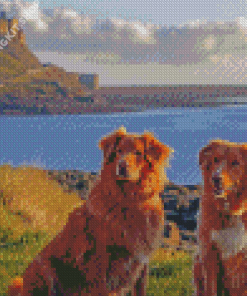 Dogs In Holy Island Of Lindisfarne Diamond Painting