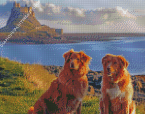 Dogs In Holy Island Of Lindisfarne Diamond Painting