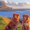 Dogs In Holy Island Of Lindisfarne Diamond Painting