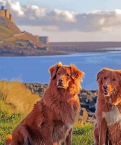 Dogs In Holy Island Of Lindisfarne Diamond Painting