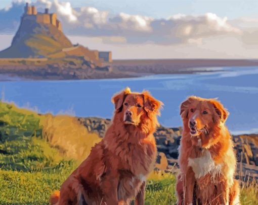 Dogs In Holy Island Of Lindisfarne Diamond Painting