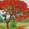 Flamboyant Tree Diamond Painting