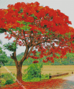 Flamboyant Tree Diamond Painting