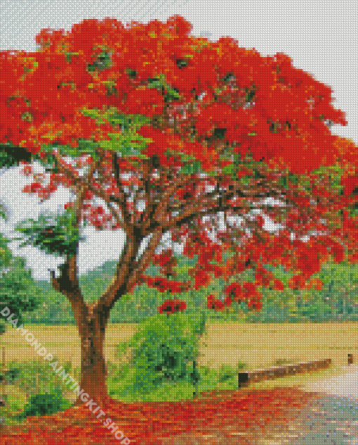 Flamboyant Tree Diamond Painting