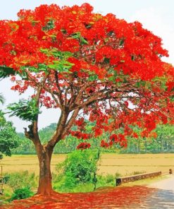 Flamboyant Tree Diamond Painting