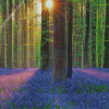 Forest With Bluebells Diamond Painting