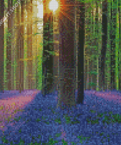 Forest With Bluebells Diamond Painting