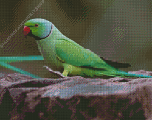 Green Rose Ringed Parakeet Bird Diamond Painting