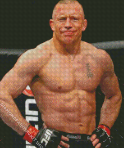 Gsp Fighter Diamond Painting