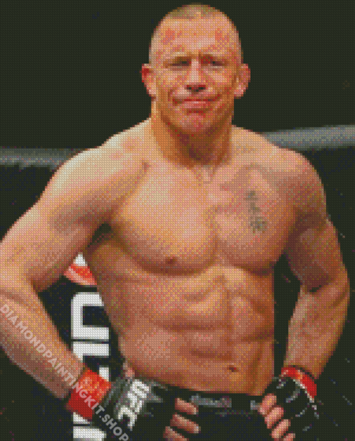 Gsp Fighter Diamond Painting