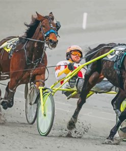 Harness Racing Diamond Painting