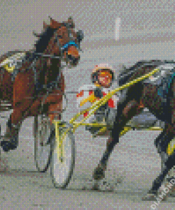 Harness Racing Diamond Painting