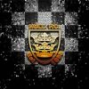 Hull Fc Logo Art Diamond Painting