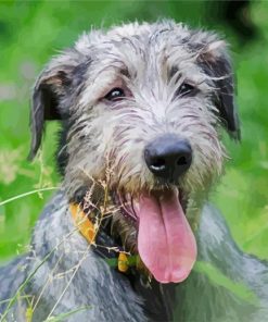 Irish Wolfhound Animal Diamond Painting