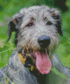 Irish Wolfhound Animal Diamond Painting