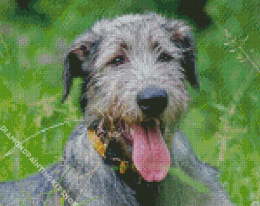 Irish Wolfhound Animal Diamond Painting