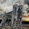 Irish Wolfhound Dog Diamond Painting