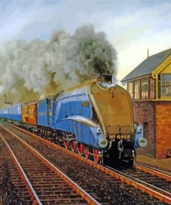 Mallard Train Station Diamond Painting