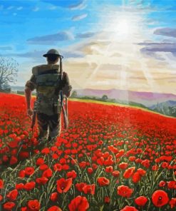 Military Soldier In Poppy Field Diamond Painting