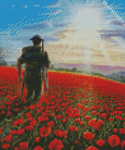 Military Soldier In Poppy Field Diamond Painting