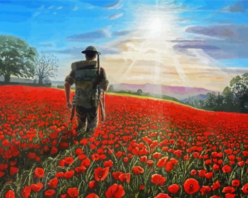 Military Soldier In Poppy Field Diamond Painting