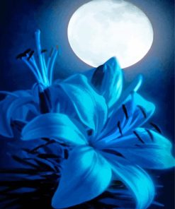 Moon Lily At Night Diamond Painting