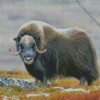 Muskox In The Mountains Diamond Painting