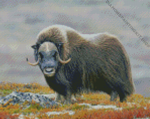 Muskox In The Mountains Diamond Painting