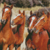 Native Brown Horses Diamond Painting