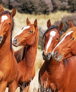 Native Brown Horses Diamond Painting