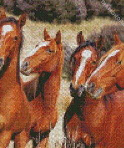 Native Brown Horses Diamond Painting