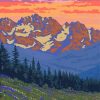 Olympic National Forest Park Poster Diamond Painting