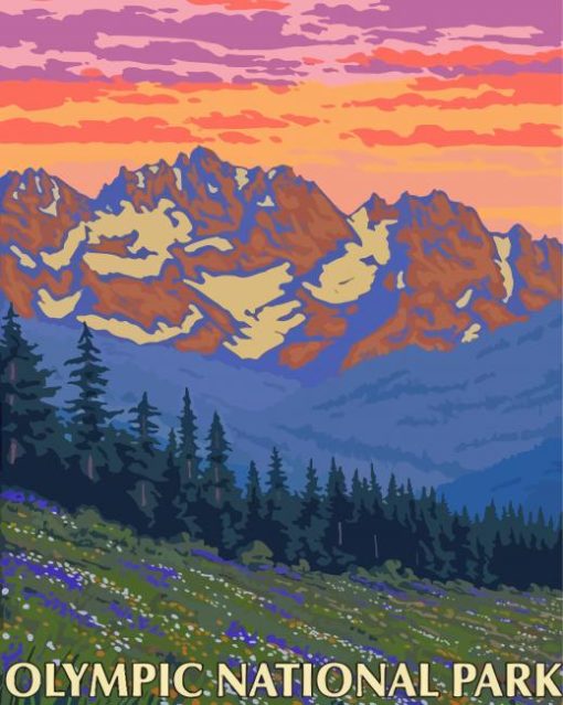 Olympic National Forest Park Poster Diamond Painting