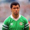 Paul Mcgrath Diamond Painting