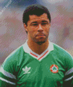 Paul Mcgrath Diamond Painting