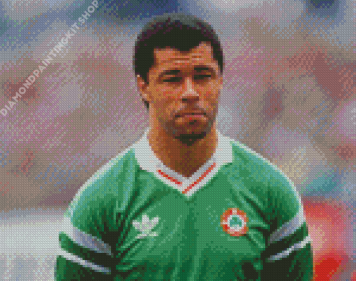 Paul Mcgrath Diamond Painting