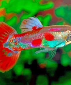 Pigeon Blood Guppy Male Fish Diamond Painting