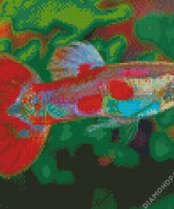 Pigeon Blood Guppy Male Fish Diamond Painting