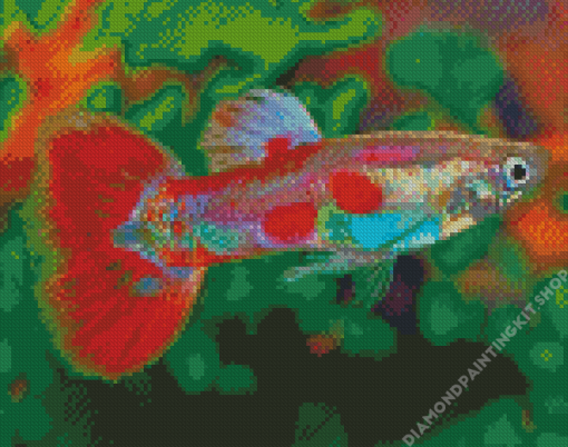 Pigeon Blood Guppy Male Fish Diamond Painting