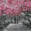 Pink Cherry Black And White Trees Diamond Painting