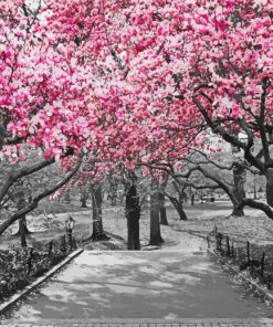 Pink Cherry Black And White Trees Diamond Painting