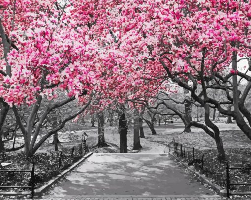 Pink Cherry Black And White Trees Diamond Painting