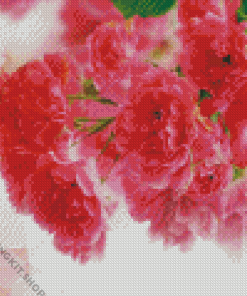 Pink Carnation Diamond Painting