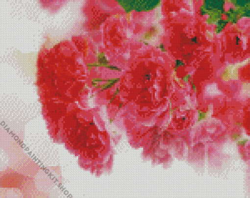 Pink Carnation Diamond Painting