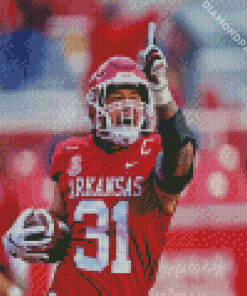 Player Number 31 Arkansas Razorbacks Diamond Painting