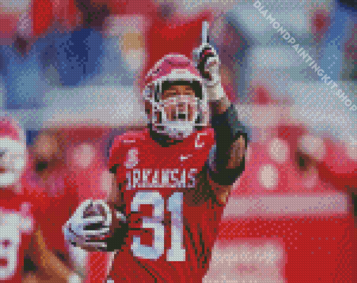 Player Number 31 Arkansas Razorbacks Diamond Painting